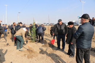Қаршида "Журналист ва блогерлар боғи" барпо этилмоқда