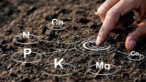 Уй-жой ва саноат корхоналарини қандай тупроқли ерга қуриш мумкин эмас?