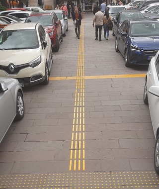 Imkoniyati cheklangan talabalar uchun Turkiya tajribasi oʻrganildi