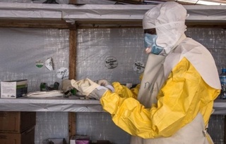 Марбург вирусы: ДДСҰ тағы бір эпидемиологиялық қауіп туралы хабарлады