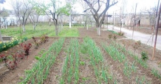 Қыйтақ жерине егин екпеген үш есе көп салық төлейди