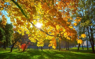 Өзбекстанда қурғақ ҳәм ыссы ҳәпте күтилмекте