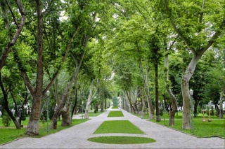 В Узбекистане запускаются платформы «Яшил олам» и «Яшил тулов»