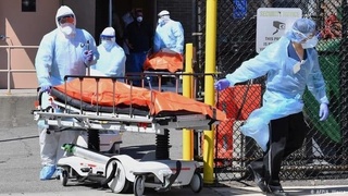 Дунёда ҳар куни ўртача 8 минг ёки ҳар дақиқада 5 га яқин ўлим қайд этилган