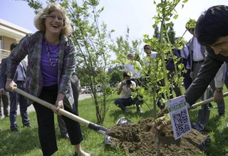 USAID, Министерство сельского хозяйства и Ташкентский государственный аграрный университет отметили День Земли 2022