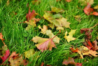 Weather forecast for September 8th