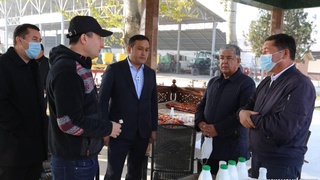 Олтинкўлда кунига 22 тонна сут ишлаб чиқарувчи корхона фаолияти ўрганилди