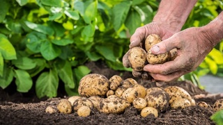 Современные технологии повысят урожайность