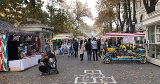 Сфера услуг будет развиваться исходя из специфики территорий