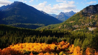 Глава ООН объявил о старте Десятилетия по восстановлению экосистем