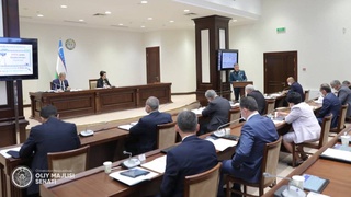 Завершился первый день работы семнадцатого пленарного заседания Сената