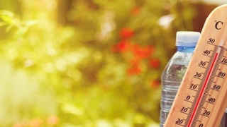 Ёз чилласида кунига ўртача қанча сув ичиш лозим?