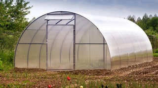 Пайсалга солинган иш 5 миллион сўмга тушди