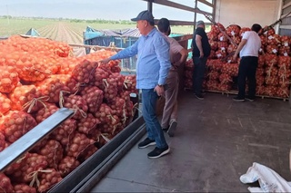 Пиёз нархи нега тушиб кетди?