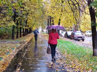 Пешгӯии обу ҳаво барои 29 ноябр