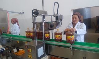 Сирдарёда «POLY TEX SIRDARYO» пахта-тўқимачилик кластерининг «SAYXUN COLD OIL» корхонаси иш бошлади