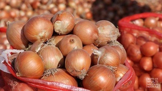Узбекистан объявил о временном ограничении на экспорт лука