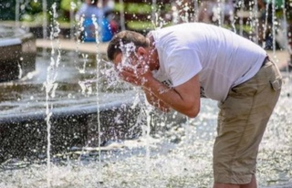 Weather forecast for June 19