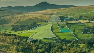 30 гектар жер Ангреннен Піскент ауданының мемлекеттік резервтік қорына беріледі.