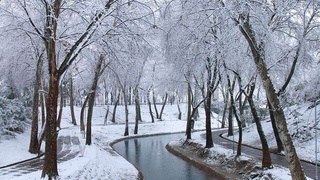 Синоптики рассказали какая погода ожидается в декабре