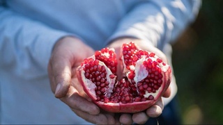 USAID запускает новый проект по усилению развития агробизнеса в Узбекистане