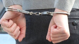 Сохта Green Card тайёрлаб одамларни алдаган шахслар озодликдан маҳрум қилинди