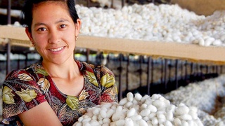 Женщинам, включенным в «Женскую тетрадь», будут выдаваться кредиты на занятие предпринимательской деятельностью