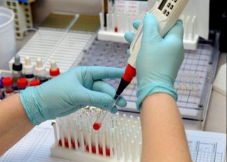 Қан обырының алдын алу жолы табылды