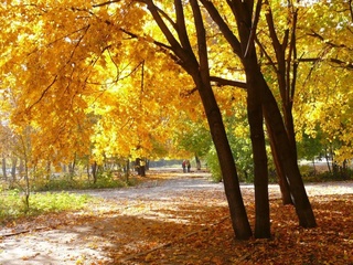 Weather forecast for October 20th