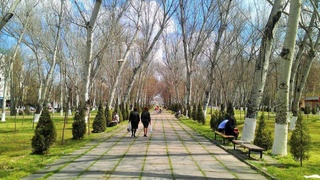 Узгидромет: в выходные дни в Узбекистане воздух прогреется до 14 градусов тепла