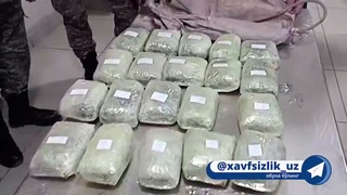 Тожикистондан олиб келинган 66 кг наркотик моддалар тўхтатиб қолинди