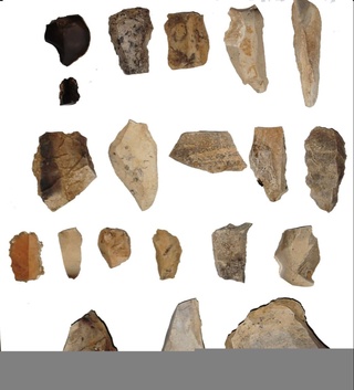 Палеолит даври устахоналари ва неолит даврига оид янги макон топилди