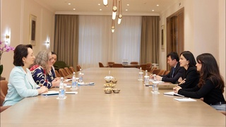 Saida Mirziyoyeva BMTning Oʻzbekistondagi doimiy rezident-koordinatori bilan uchrashdi