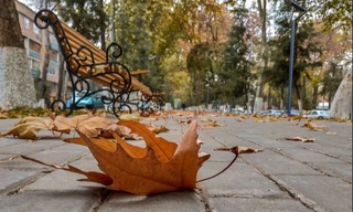 Ushbu haftada ob-havoda qanday oʻzgarish kutiladi?