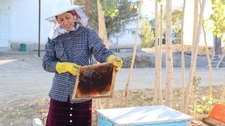 Проект CADI повышает доходы жителей отдаленных сел