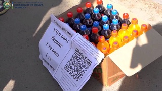 «Бастамалық бюджет» аясында мәжбүрлі дауыс беру жағдайлары туралы хабарлау сұралды