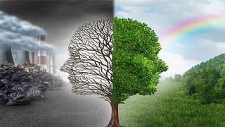 В приоритете - охрана окружающей среды и здоровье населения