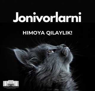 Poytaxt hokimligi fuqarolarni sovuq kunlarda boshpanasiz hayvonlarga yordam berishga chaqirdi