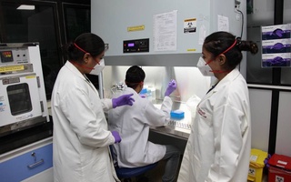 Ўсмаларга қарши курашишда самара берадиган радиоактив гель ишлаб чиқилди