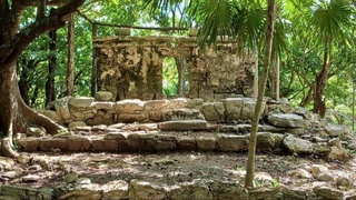 Затерянный город майя нашли в джунглях Мексики