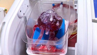 Врачи из Казахстана разработали устройство для длительной трансплантации органов