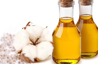 Республикада пахта мойи ҳавфсизлигини таъминлаш борасида қандай тадбирлар зарур?