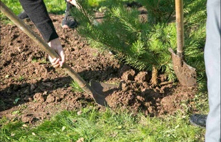 Дарахт экиб-боғ яратиш эзгулик ва улуғворлик рамзидир