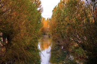 26 октябрь куни кутилаётган об-ҳаво маълумоти эълон қилинди