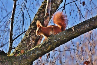 Прогноз погоды на 22 февраля