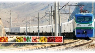 Uzbekistan is preparing to launch Agroexpress to supply fruits and vegetables to Belarus