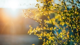 “Ўзгидромет“ иш ҳафтаси давомида кузатиладиган об-ҳаво маълумотларини эълон қилди