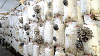 Каждый должен знать тонкости выбранного ремесла