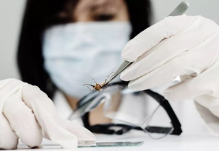 Yevropada xavfli virus tarqalmoqda