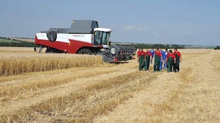 В Узбекистане в новой редакции принят Закон «О сельскохозяйственном кооперативе»